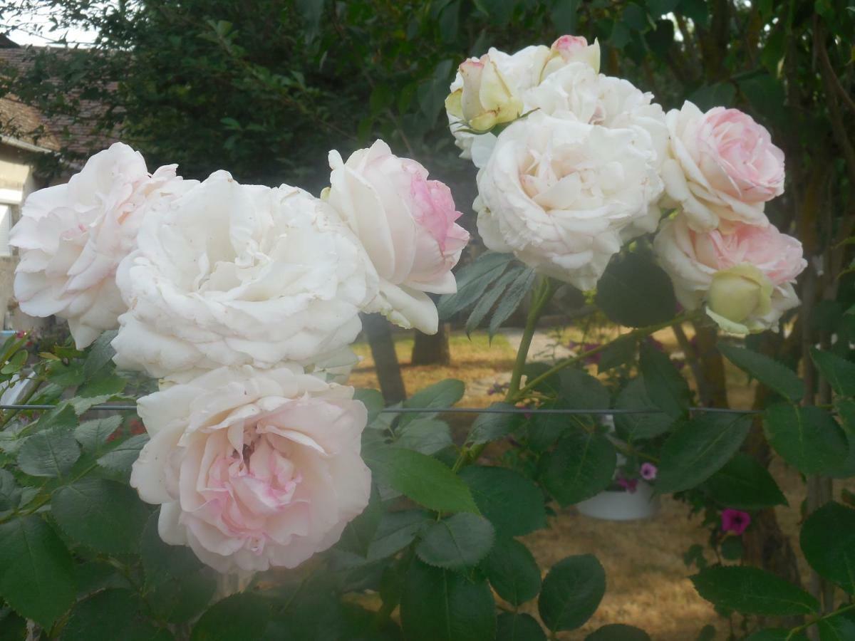 Les Rouches Bed & Breakfast Cormeray Екстериор снимка